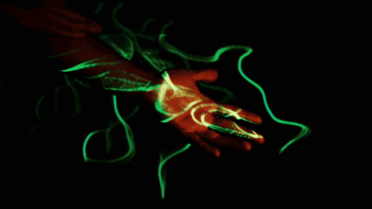 Project image
